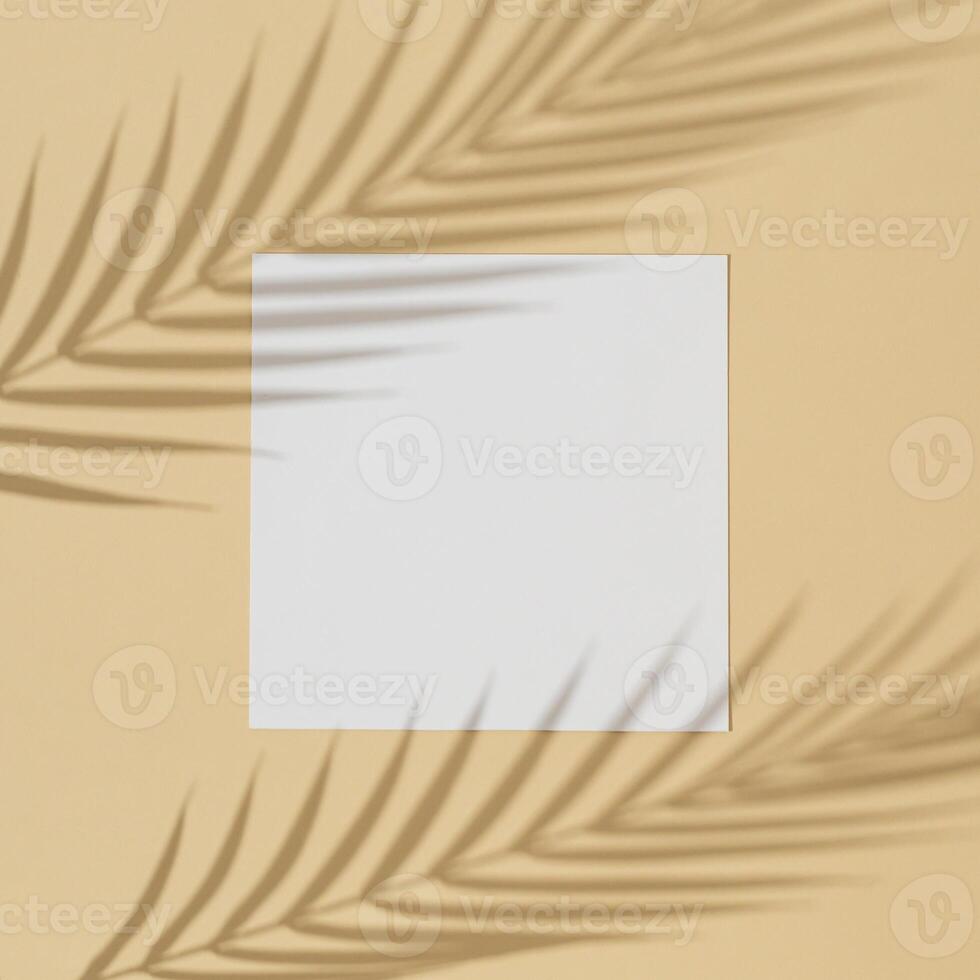 Green tropical leaf shadow on sand color background. Flat lay. Minimal summer concept with palm tree leaf. An original background image with a play of light and shadow. Creative copy space. photo