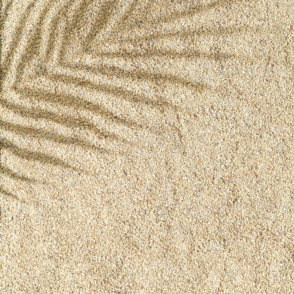Tropical palm tree leaf shadow on beach sand background. Minimal summer concept. An original background image with a play of light and shadow. Creative copy space. Summer aesthetic. Exotic flat lay. photo