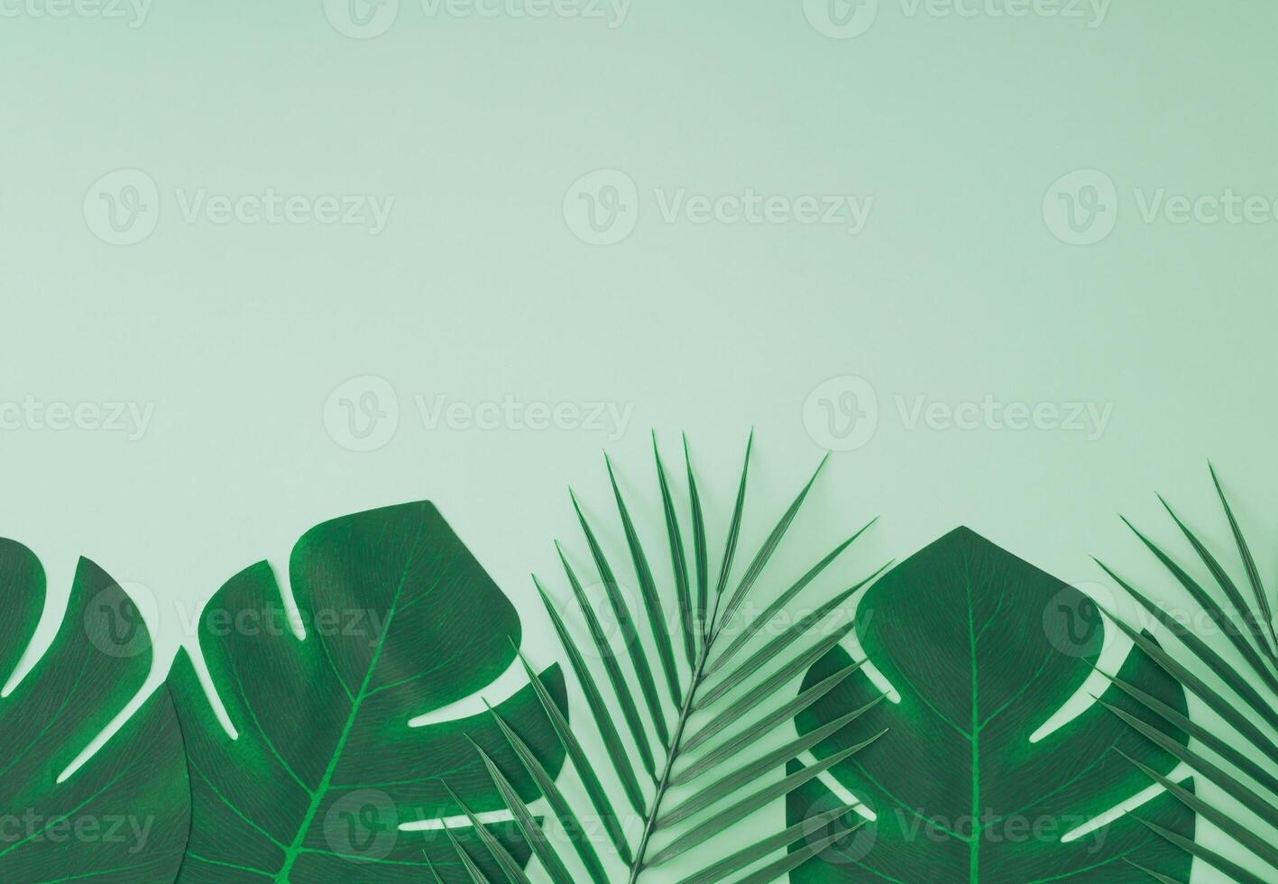 Creative trendy summer composition made with tropical green palm leaves on pastel green background with copy space. Minimal concept. Nature layout. Monochromatic flat lay. Top of view. photo