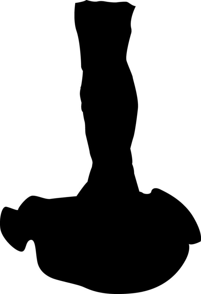 Silhouette of a person in a dress vector
