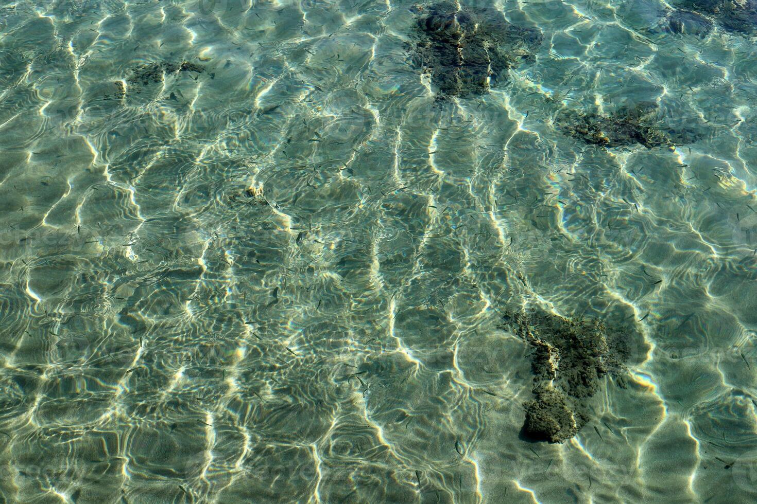 The color of water in the Mediterranean Sea in shallow water. Natural abstract background. photo