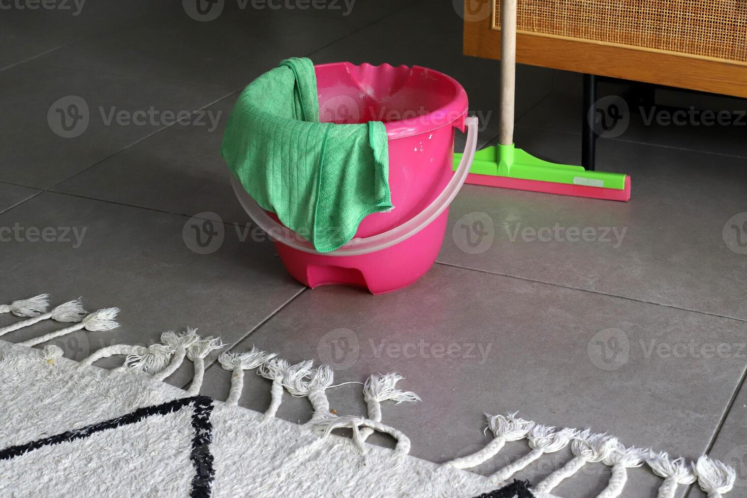 Hand tools for wet cleaning of premises photo
