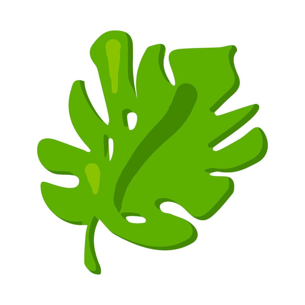 Holey Monstera Leaf Careless Leaf Of Exotic vector