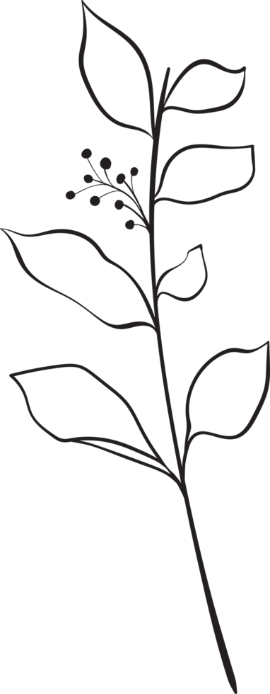 rustic leaf ornament floral png