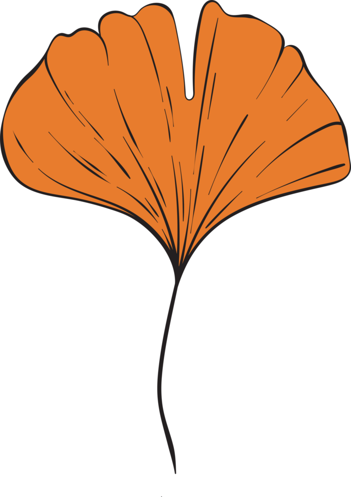 rustic leaf autumn floral png