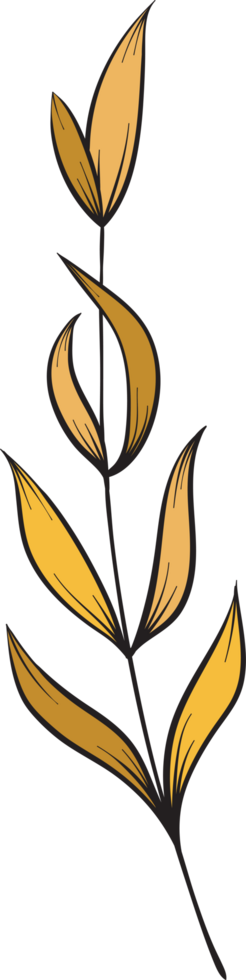 rustic leaf autumn floral png