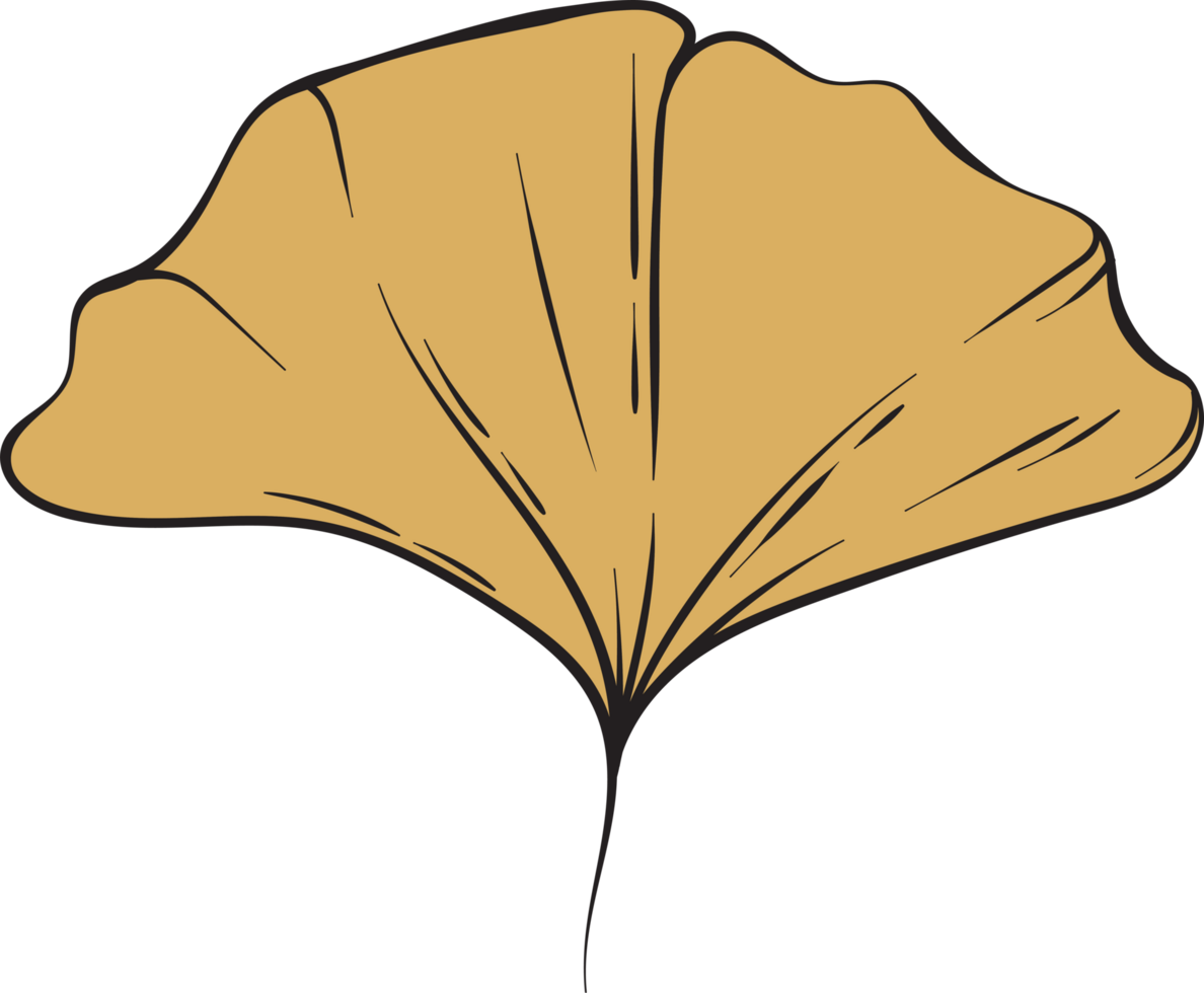 rustic leaf autumn floral png