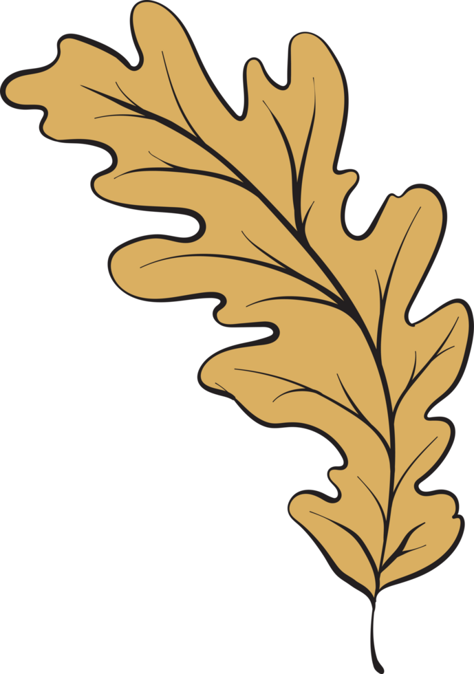 rustic leaf autumn floral png