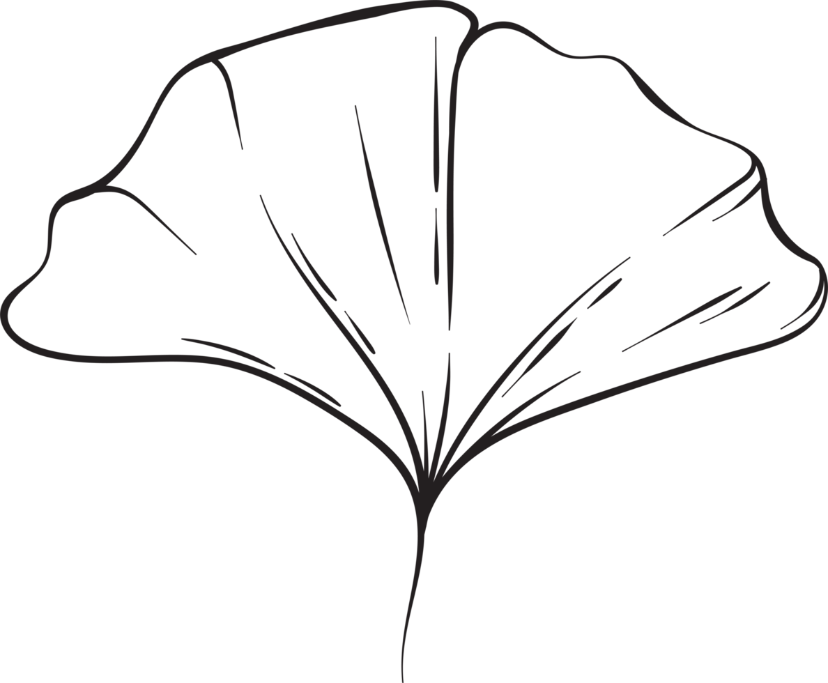 rustic leaf ornament floral png