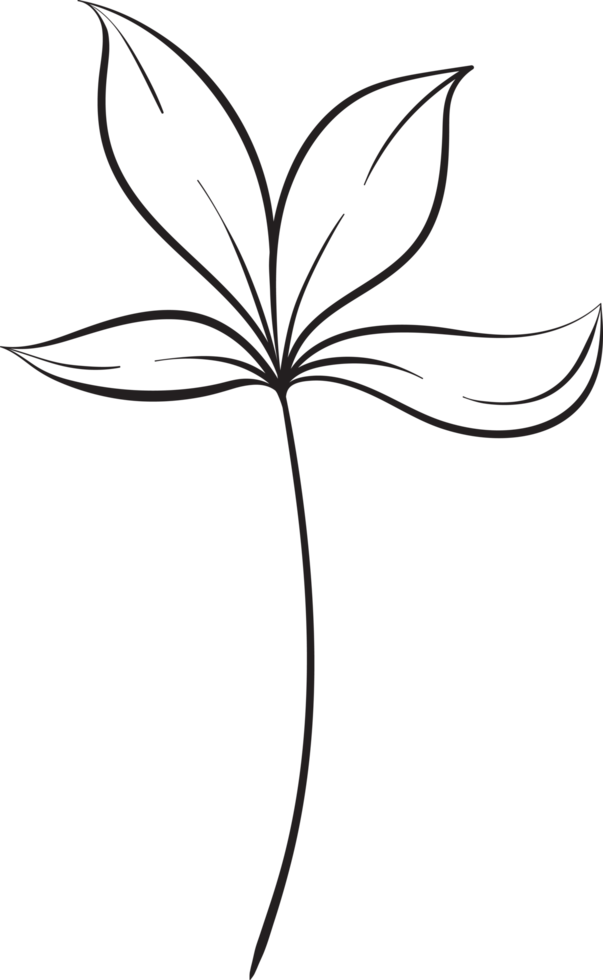 rustic leaf ornament floral png