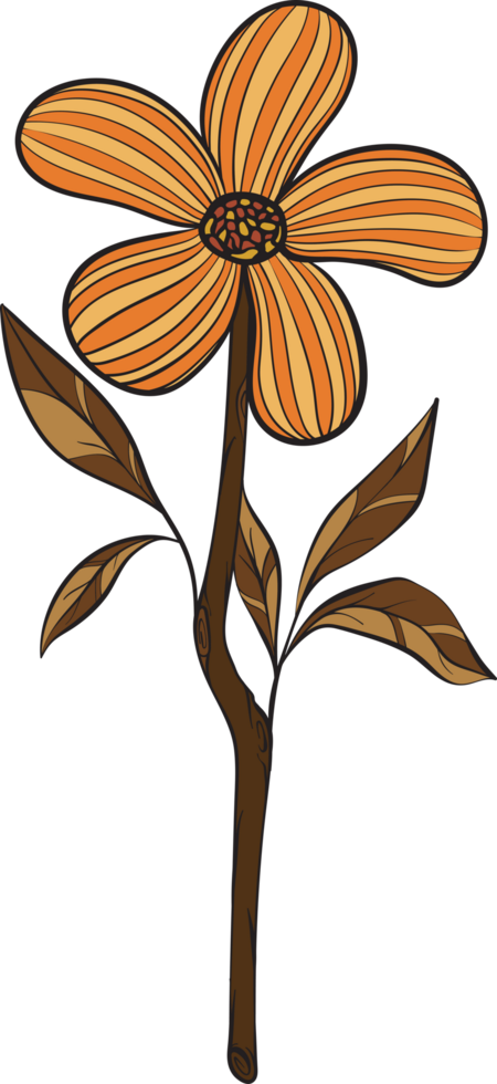 rustic leaf autumn floral png