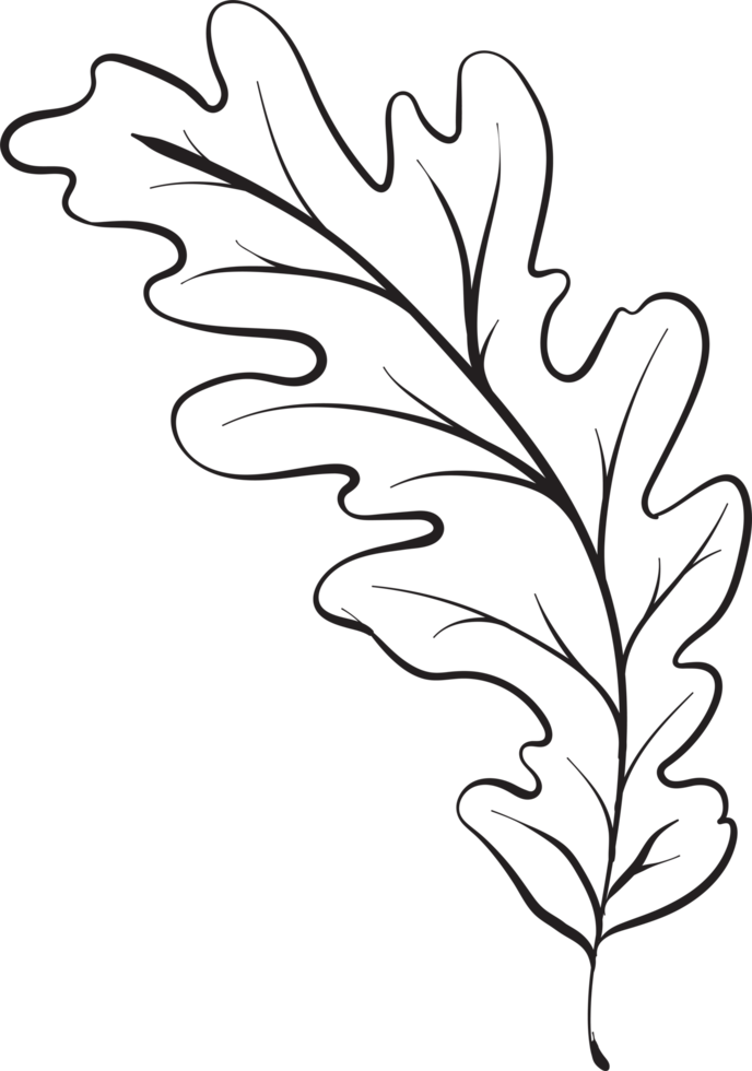 rustic leaf ornament floral png