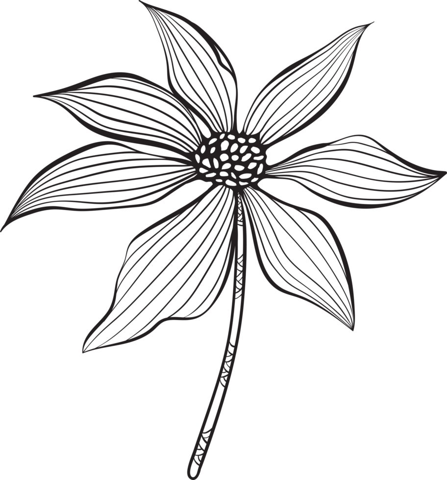 rustic leaf ornament floral png