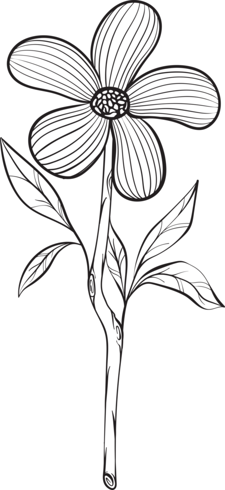 rustic leaf ornament floral png