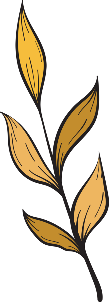 rustic leaf autumn floral png