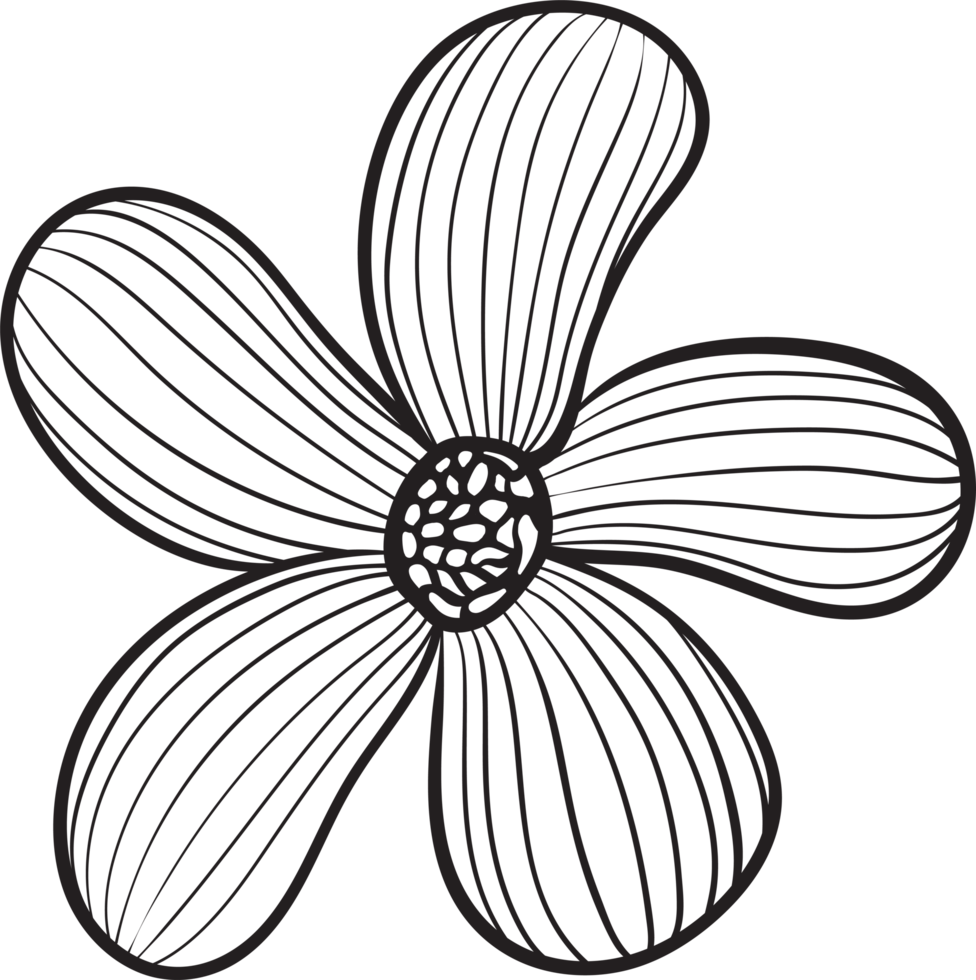 rustic leaf ornament floral png