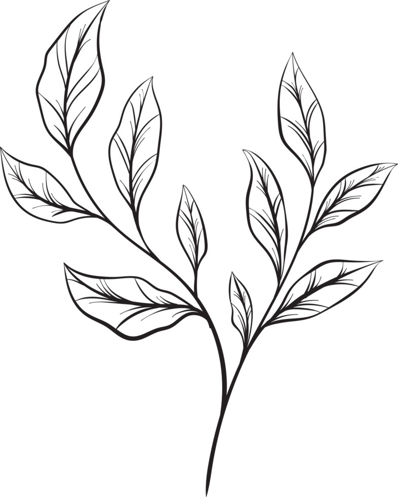 rustic leaf ornament floral png