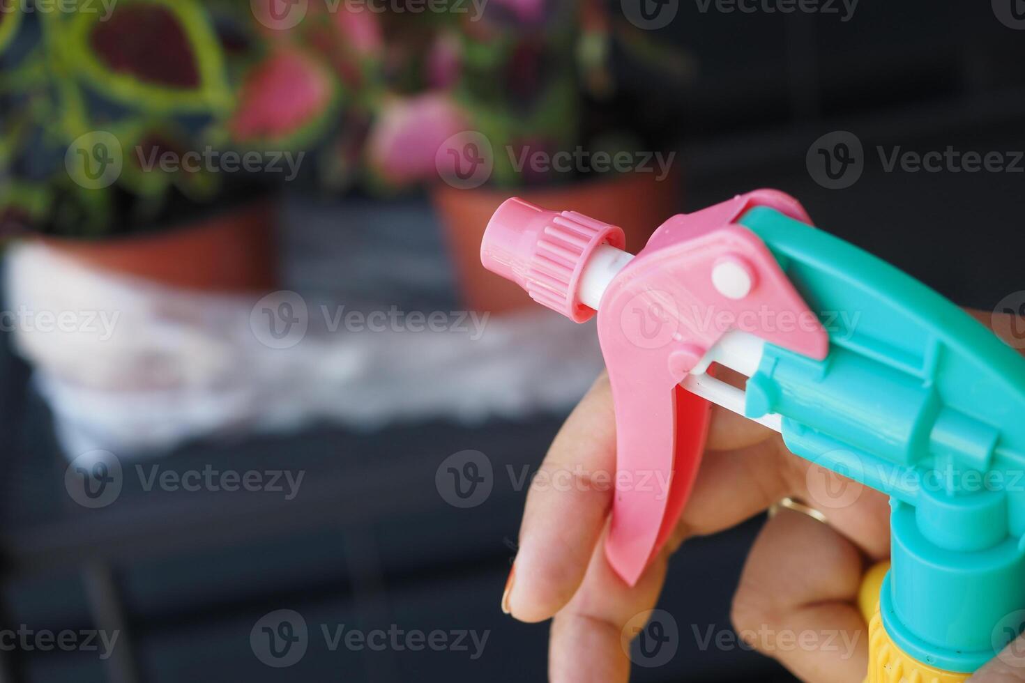 Gardener with gloves spraying a blooming fruit tree against plant diseases and pests. photo