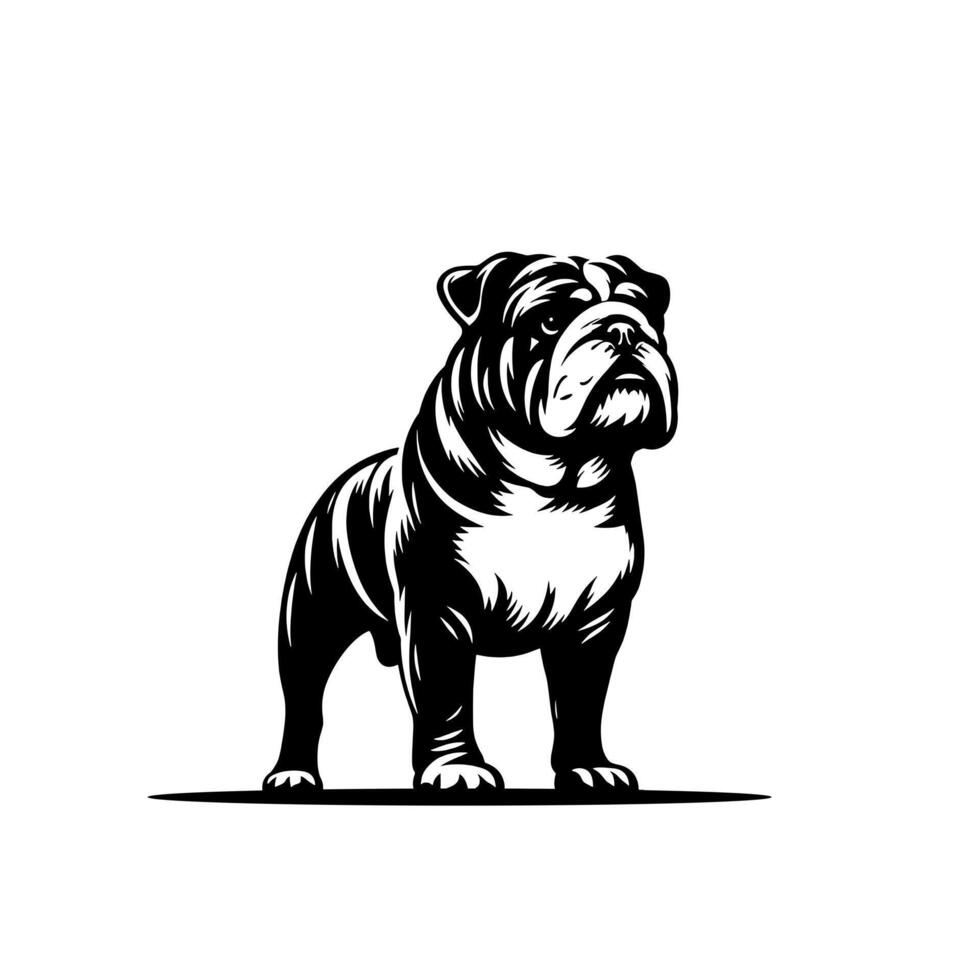 Bulldog dog illustration. Hand drawn line style bulldog dog isolated on white background vector