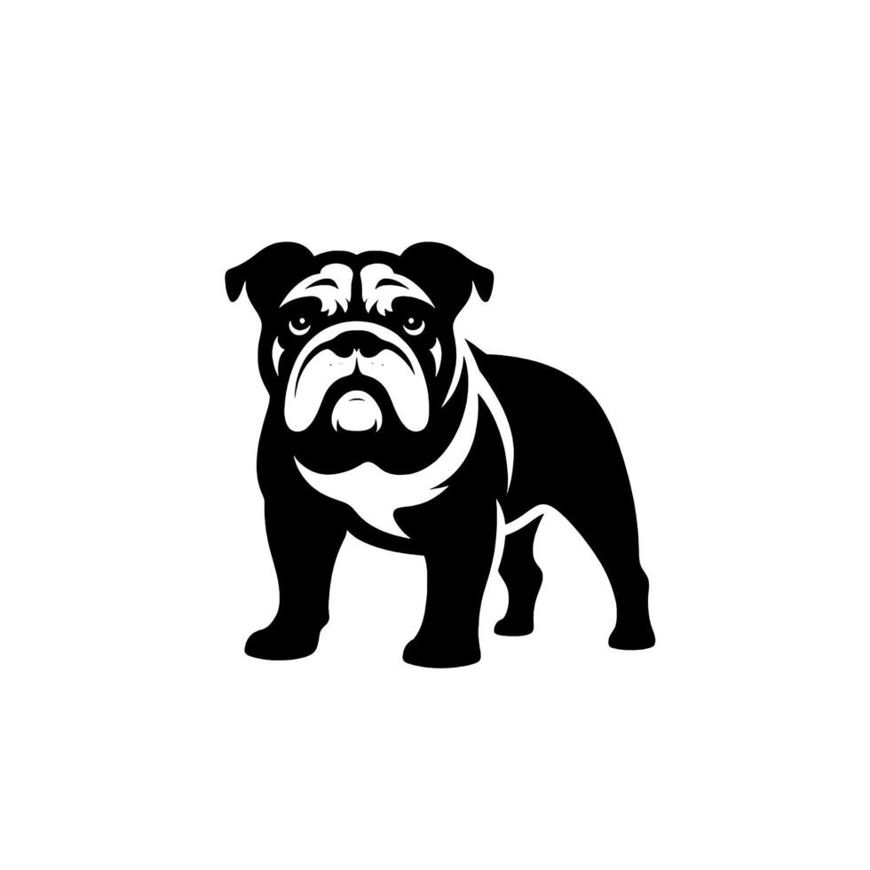 Bulldog dog illustration vector