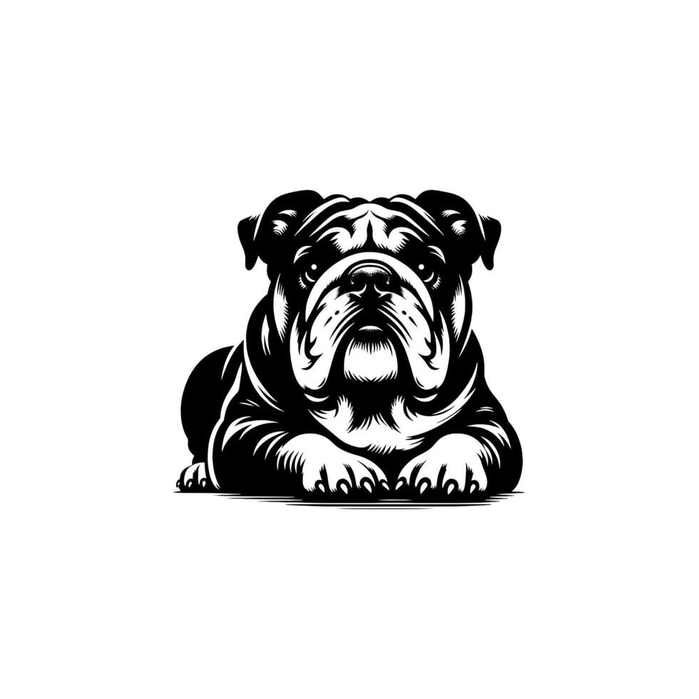 Bulldog dog illustration. Hand drawn line style bulldog dog isolated on white background vector