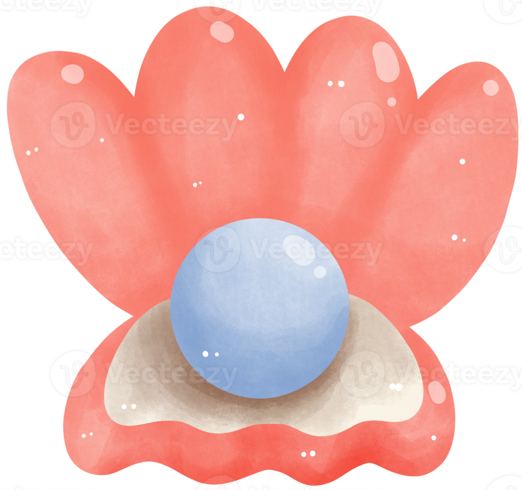 Natural open pearl shell png