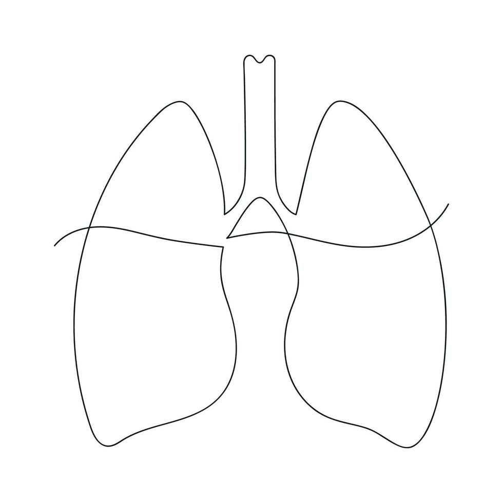 Lung drawn in one continuous line. One line drawing, minimalism. vector