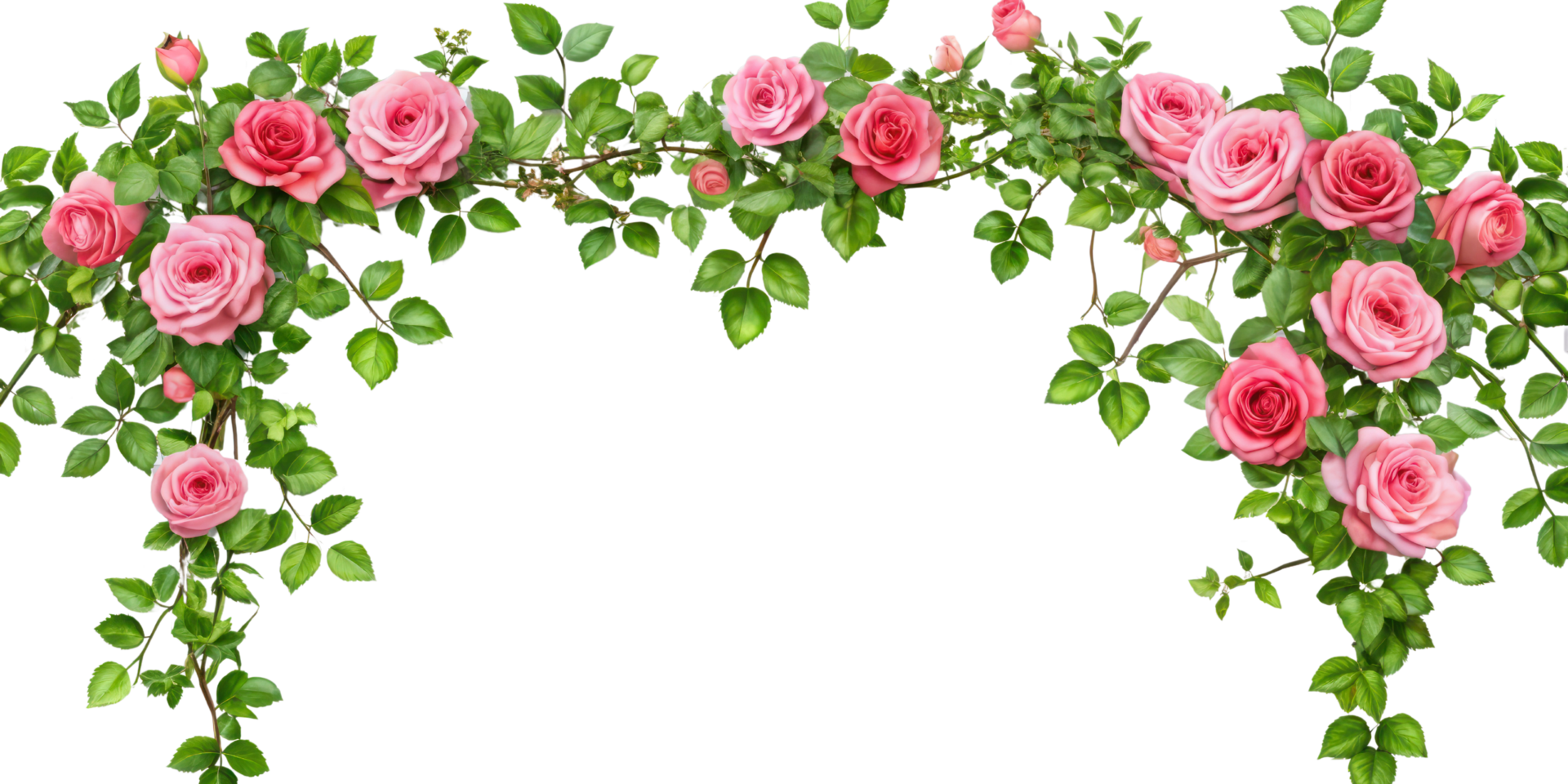 Tropical liana branches, flower and tropical leaves on transparent background, tropical vine hanging ivy plant png