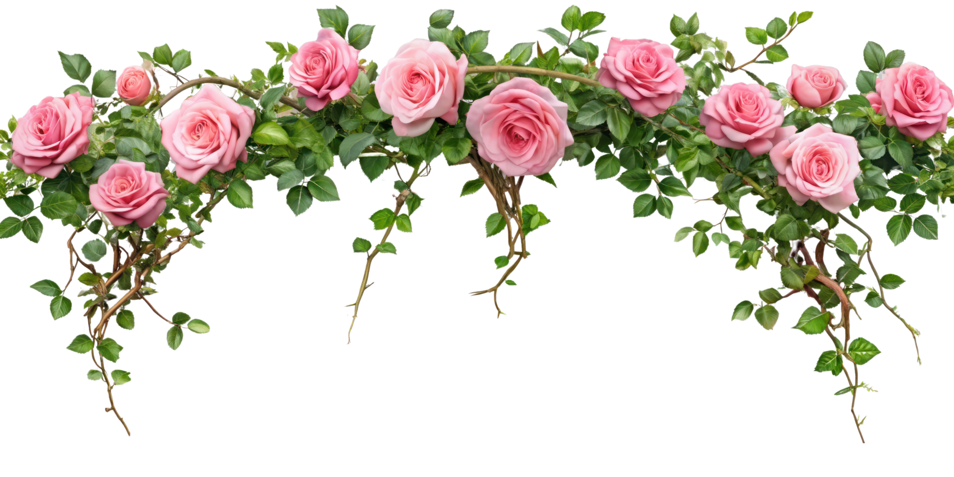 Tropical liana branches, flower and tropical leaves on transparent background, tropical vine hanging ivy plant png