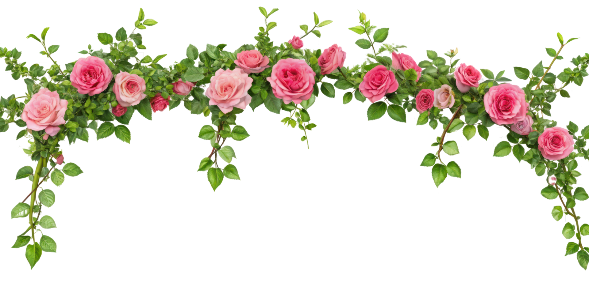 Tropical liana branches, flower and tropical leaves on transparent background, tropical vine hanging ivy plant png