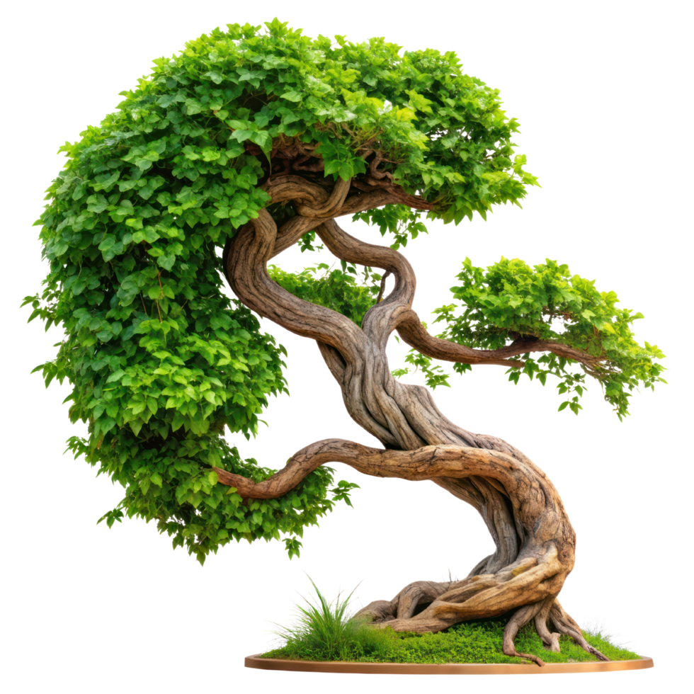Green gnarled tree branch, isolated on transparent background, Creepy tree with twisted branches png