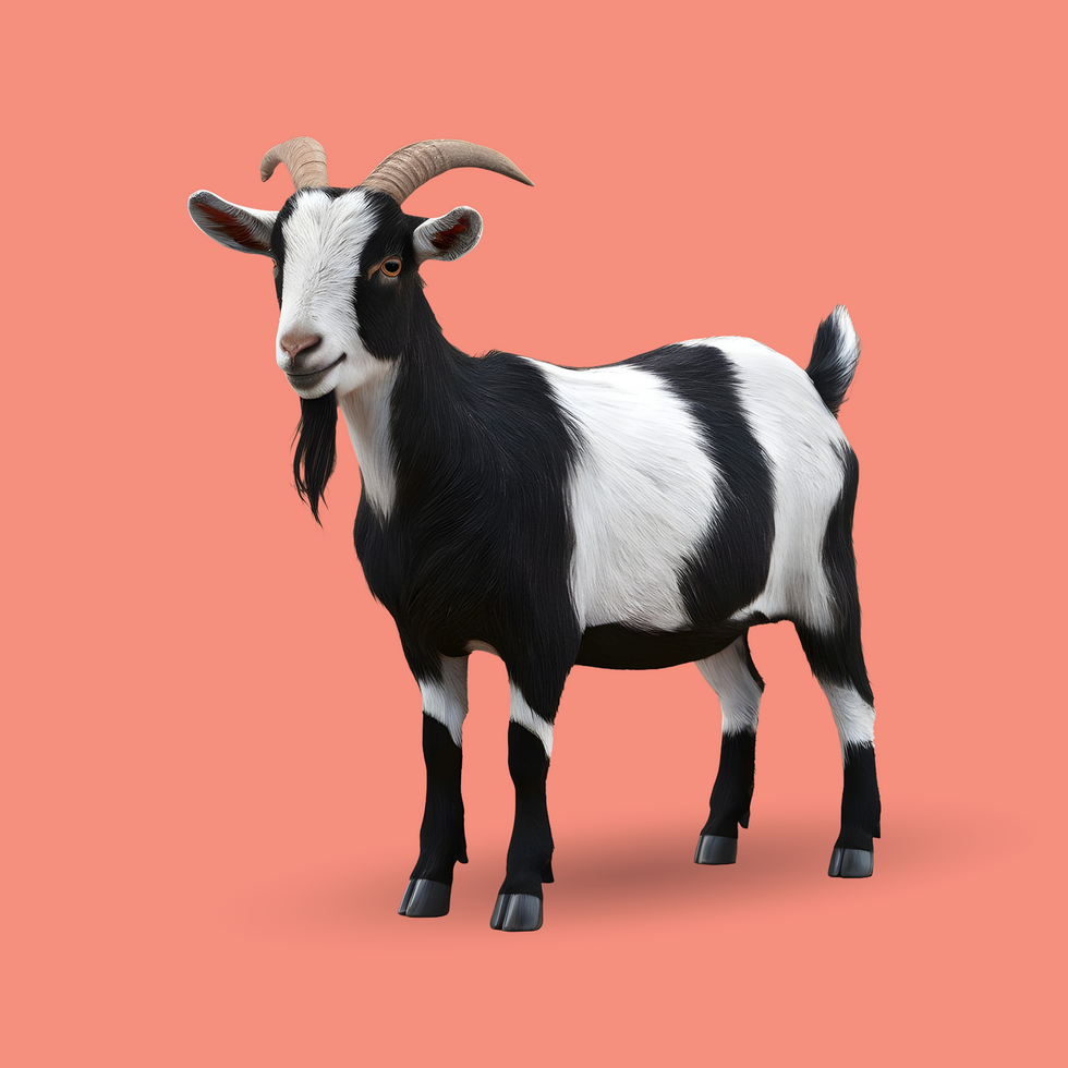 3d realistic Horn Goat on transparent background, best 3d render goat for Eid ul adha islamic festival psd