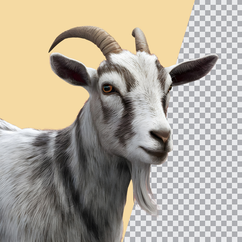 3d realistic Horn Goat on transparent background, best 3d render goat for Eid ul adha islamic festival psd