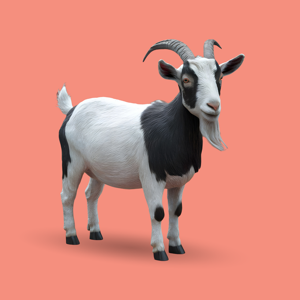 3d realistic Horn Goat on transparent background, best 3d render goat for Eid ul adha islamic festival psd