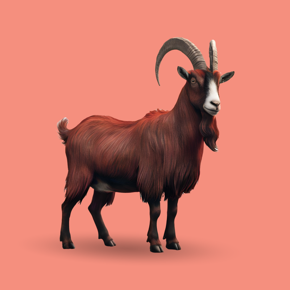 3d realistic Horn Goat on transparent background, best 3d render goat for Eid ul adha islamic festival psd