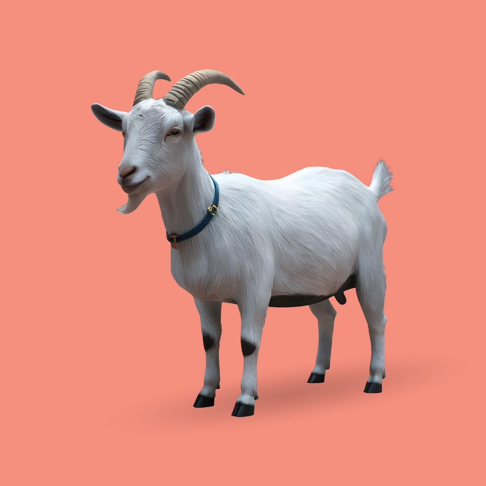 3d realistic Horn Goat on transparent background, best 3d render goat for Eid ul adha islamic festival psd