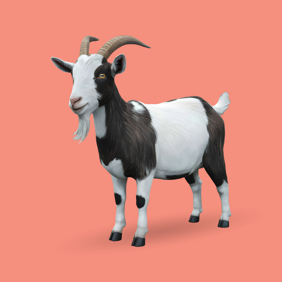 3d realistic Horn Goat on transparent background, best 3d render goat for Eid ul adha islamic festival psd