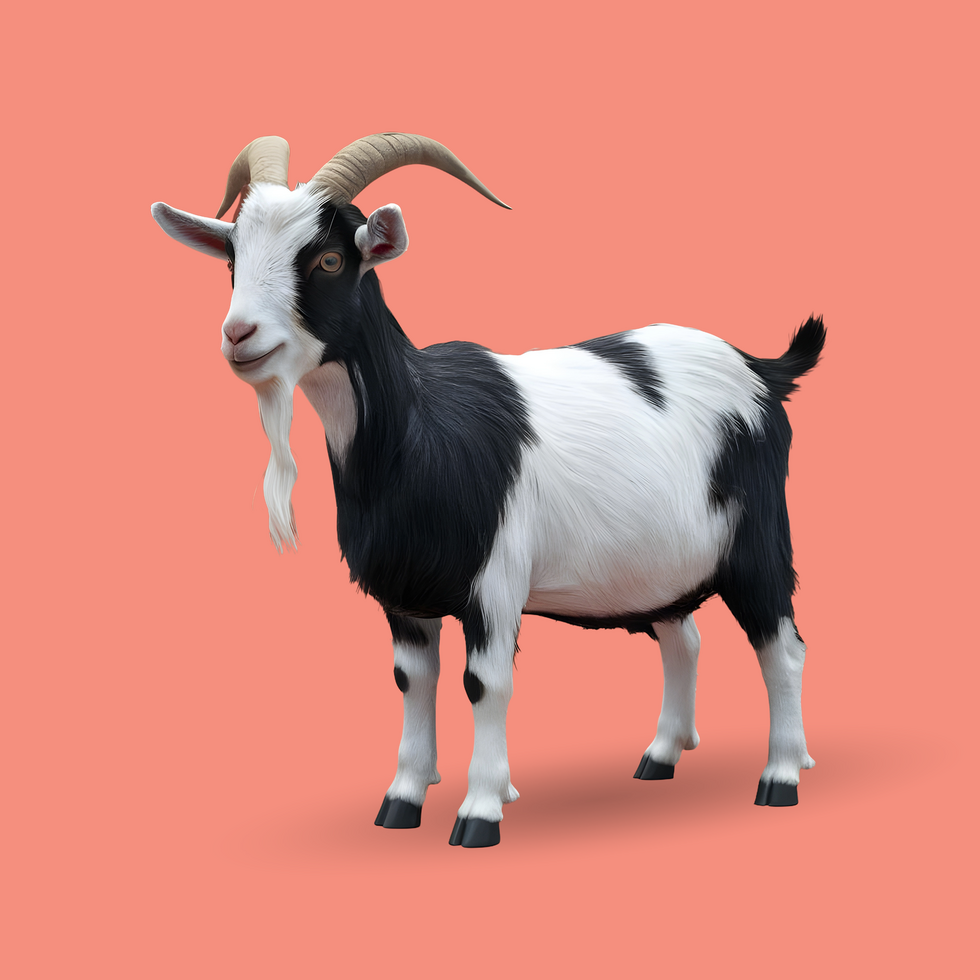 3d realistic Horn Goat on transparent background, best 3d render goat for Eid ul adha islamic festival psd