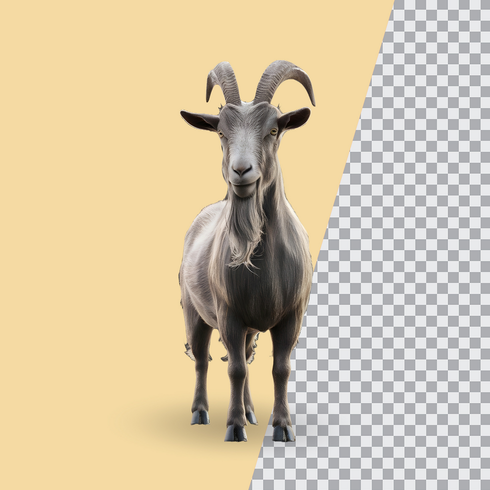 3d realistic Horn Goat on transparent background, best 3d render goat for Eid ul adha islamic festival psd