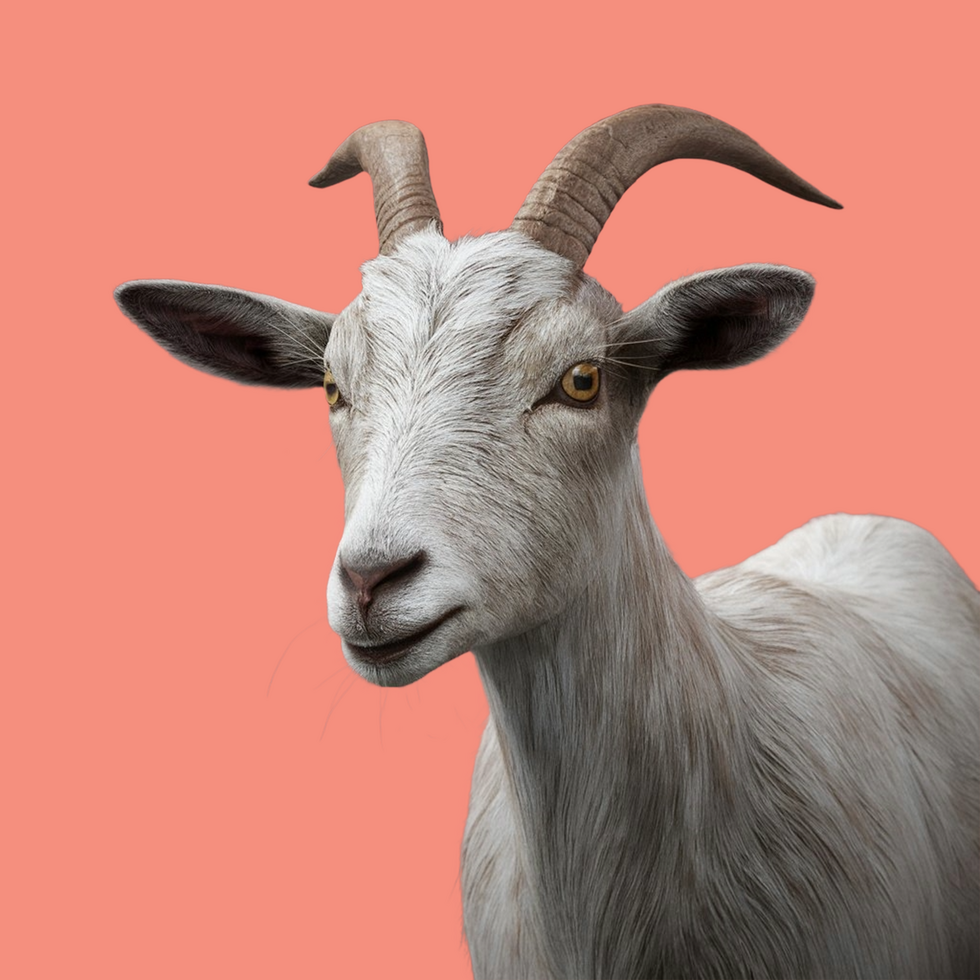 3d realistic Horn Goat on transparent background, best 3d render goat for Eid ul adha islamic festival psd