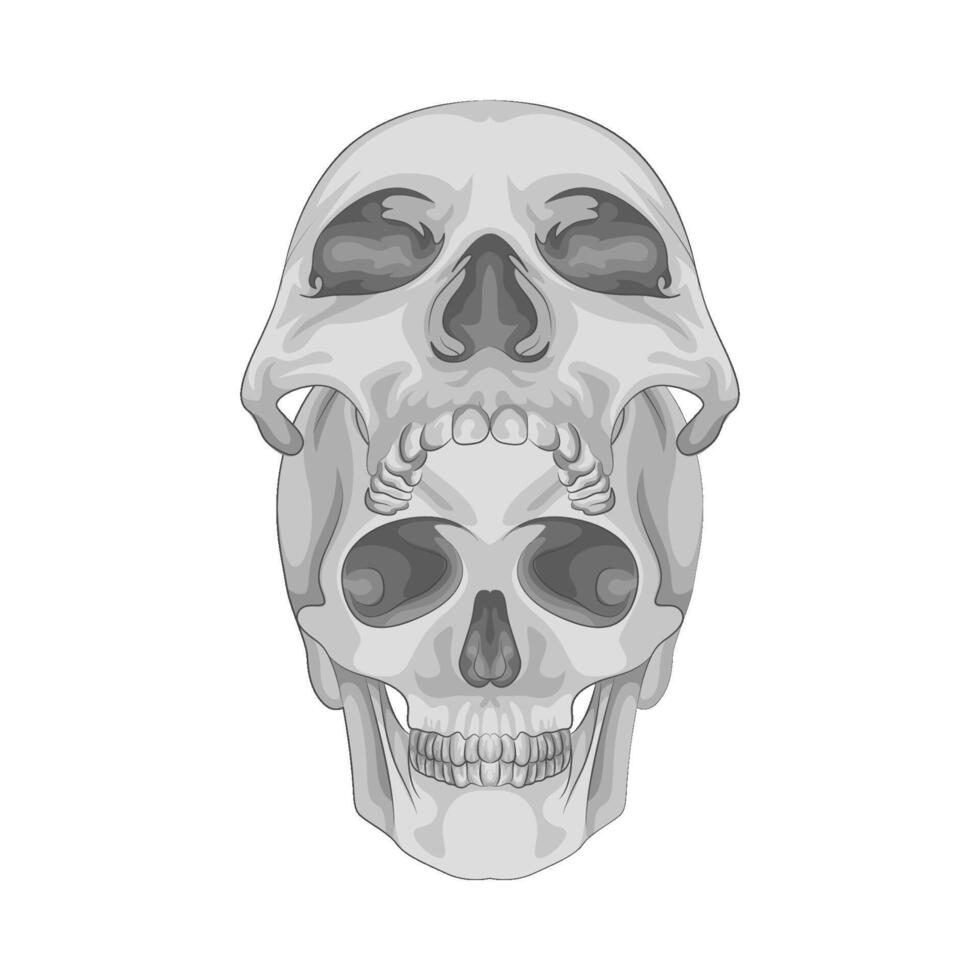 Illustration of skull vector