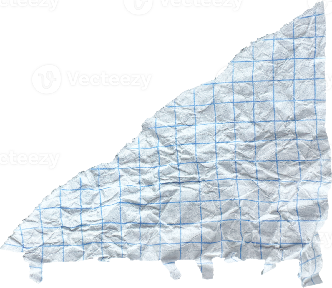 White Torn Crumpled Checkered Paper Piece png