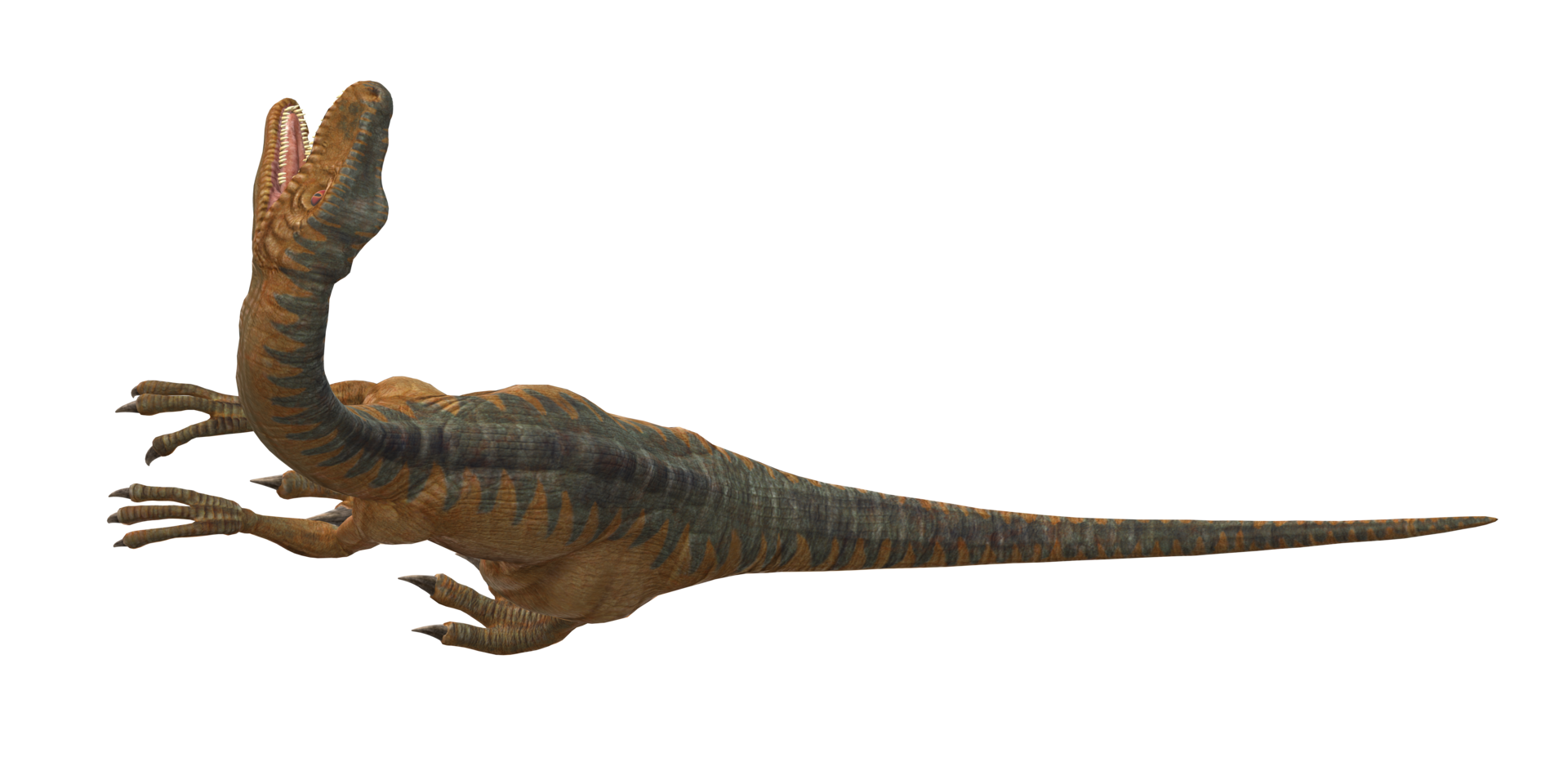 Velociraptor Dinosaur isolated on a Transparent Background png