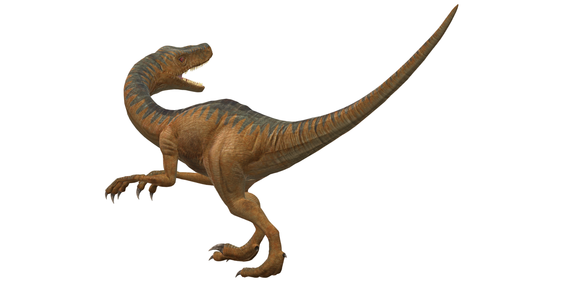 Velociraptor Dinosaur isolated on a Transparent Background png