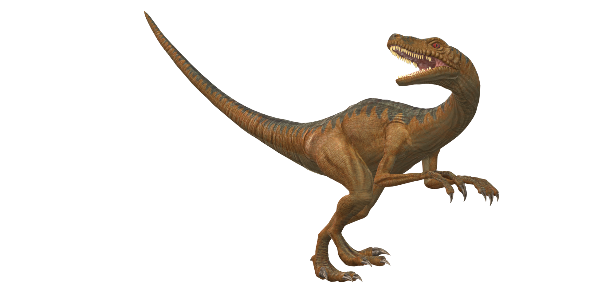 Velociraptor Dinosaur isolated on a Transparent Background png