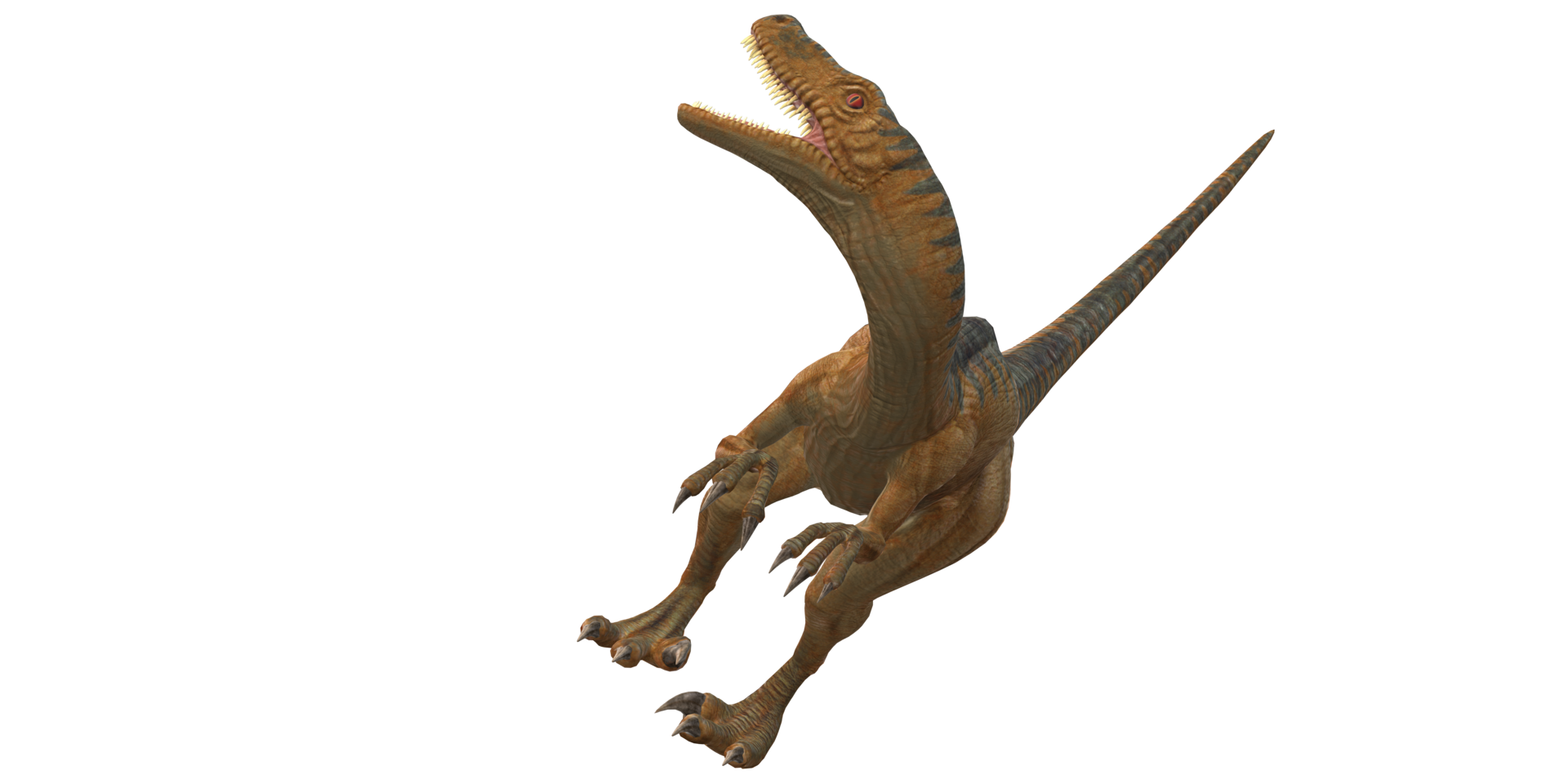 Velociraptor Dinosaur isolated on a Transparent Background png