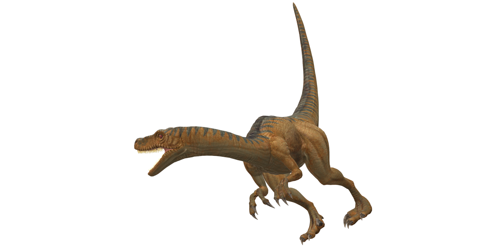 Velociraptor Dinosaur isolated on a Transparent Background png