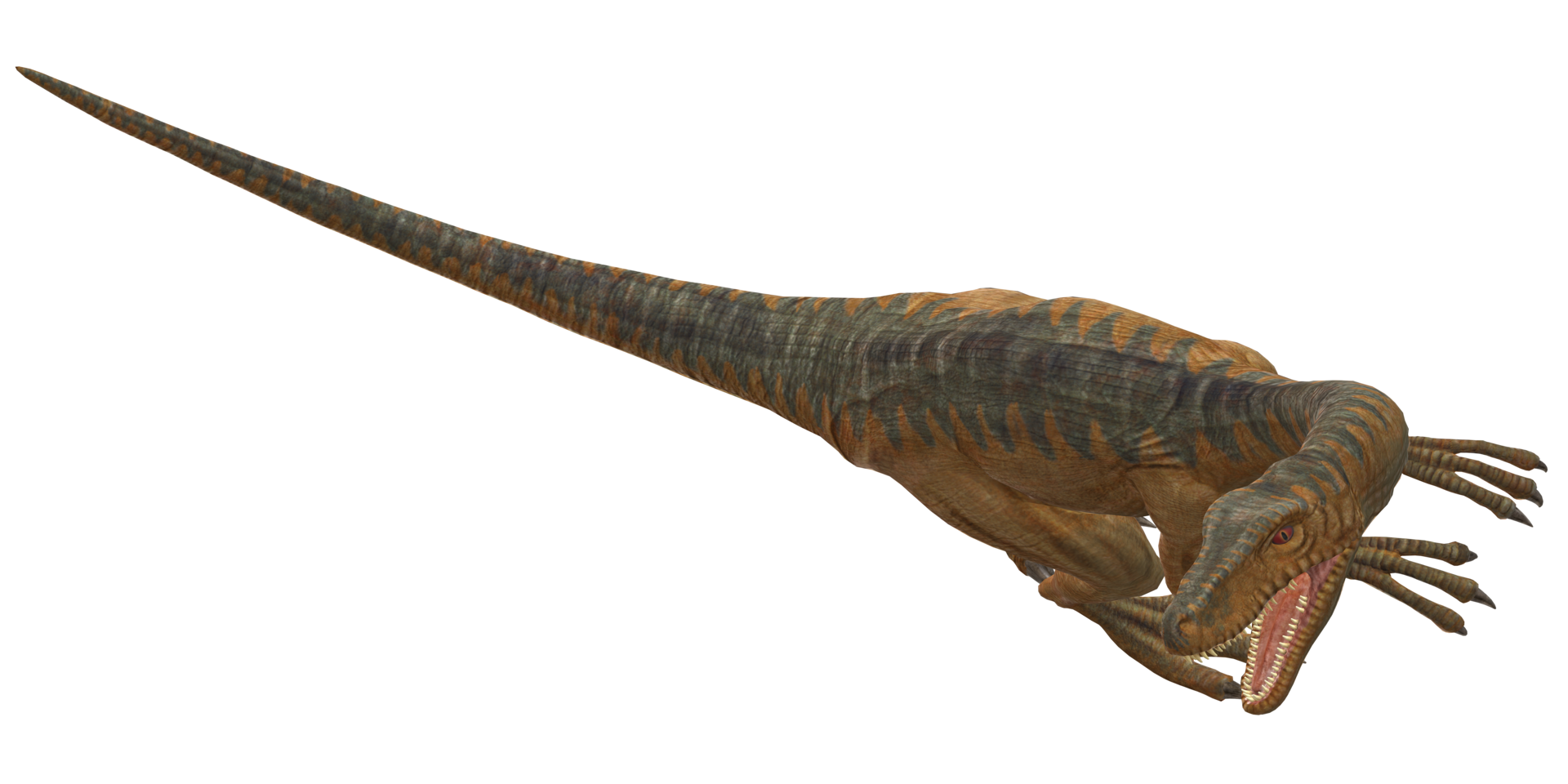 Velociraptor Dinosaur isolated on a Transparent Background png