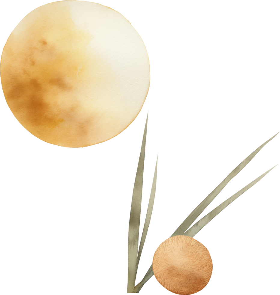 Tsukimi dango accompanied by a single reed grass stalk png