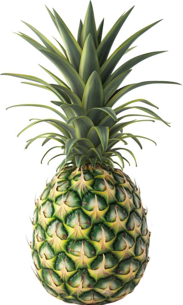 Healthy Fresh pineapple fruit isolated on a transparent background png